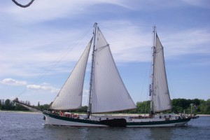 Sail In Parade Hamburg - Elegant